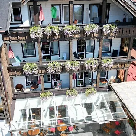 Hotel Bergidyll 3*